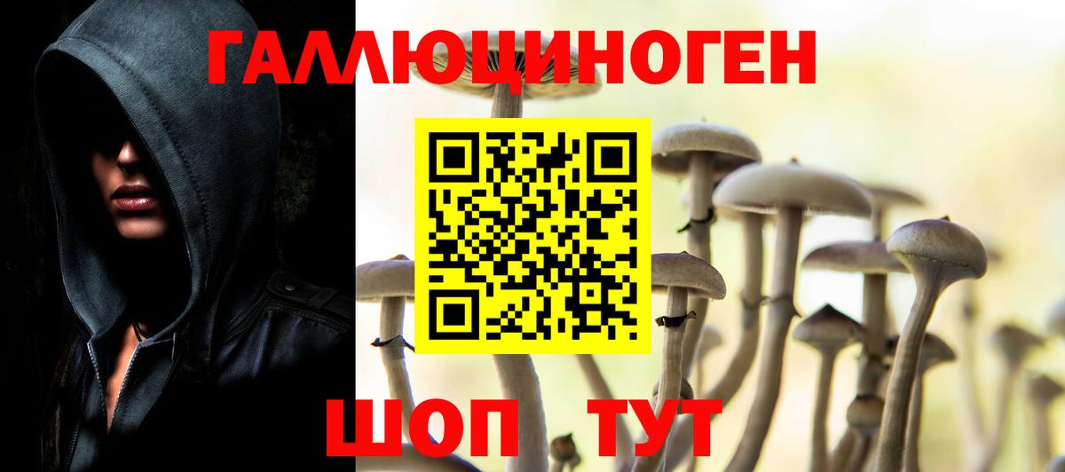 Галлюциногенные грибы MAGIC MUSHROOMS  Вход с VPN  Ржев 